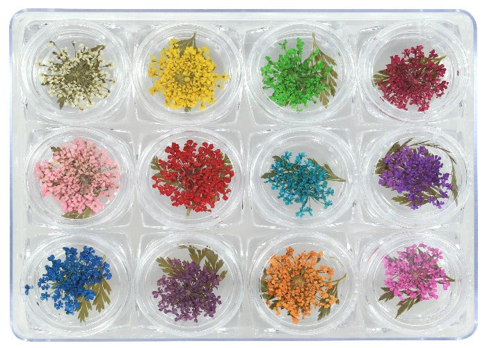 NAIL ART ORNAMENT-DRY FLOWERS DECORATION SKU: DF-01