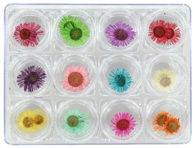 NAIL ART ORNAMENT-DRY FLOWERS DECORATION SKU: DF-02