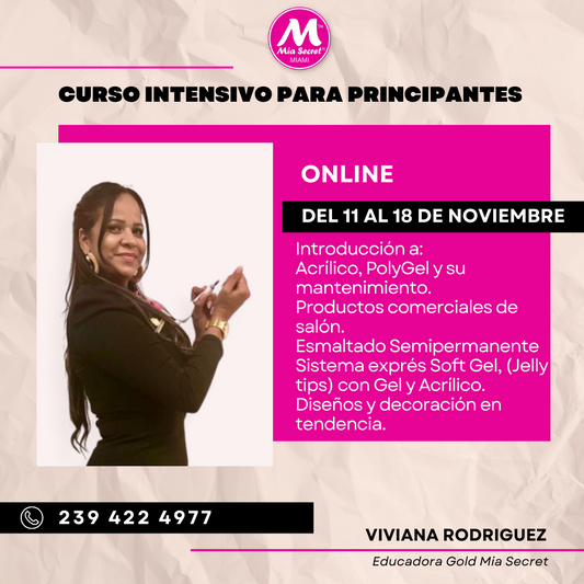 Taller online Intensivo para principiantes