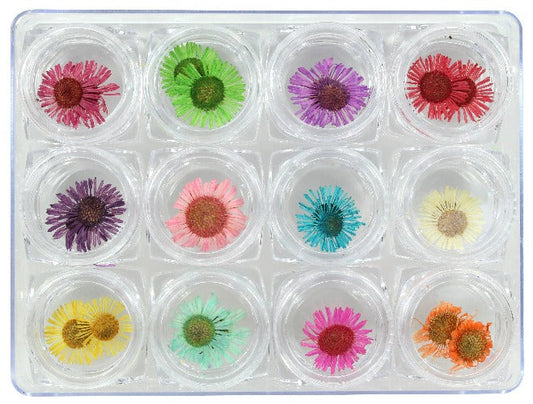 NAIL ART ORNAMENT-DRY FLOWERS DECORATION SKU: DF-02