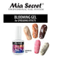 BLOOMING GEL FOR NAILS